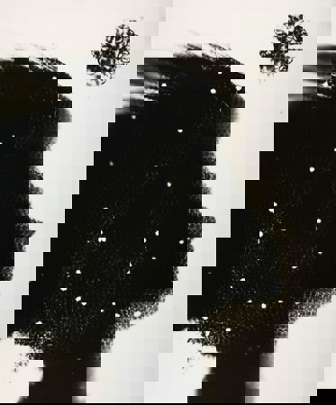 372B9999bc6a7c1aaa0ed62e4674e798