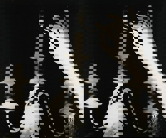 C1efa2e3f112a2d982049744f904794e