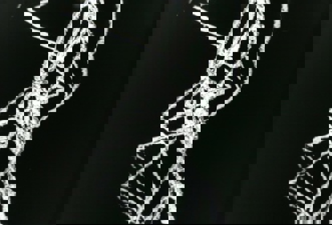 E42c1dcd970c9aacdee0277d64cd38b8