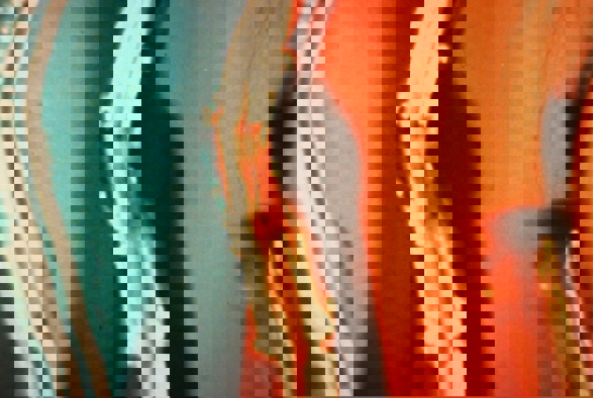 F2b1709ec9d98b00767467e50726e590