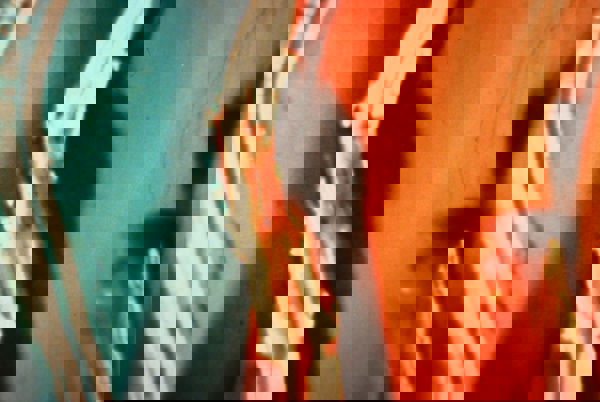 F2b1709ec9d98b00767467e50726e590 F2b1709ec9d98b00767467e50726e590