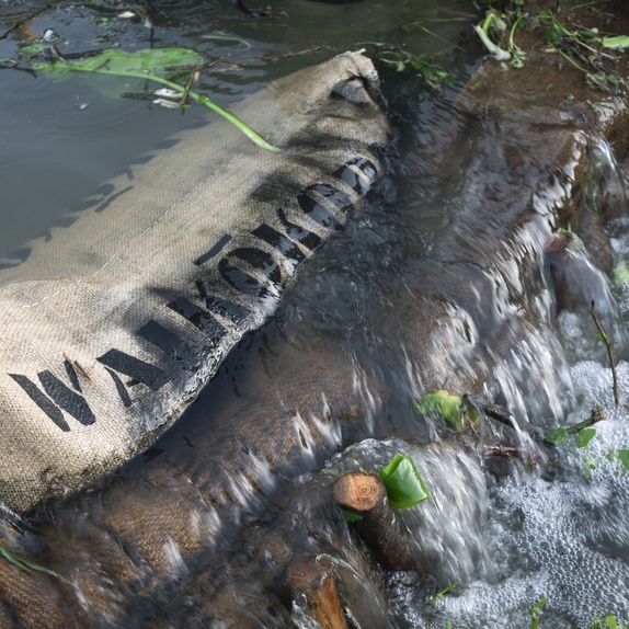 Kuku Biochar Project & Waikōkopu Stream Restoration. Image Maija Stephens. Courtesy Of The Artists.