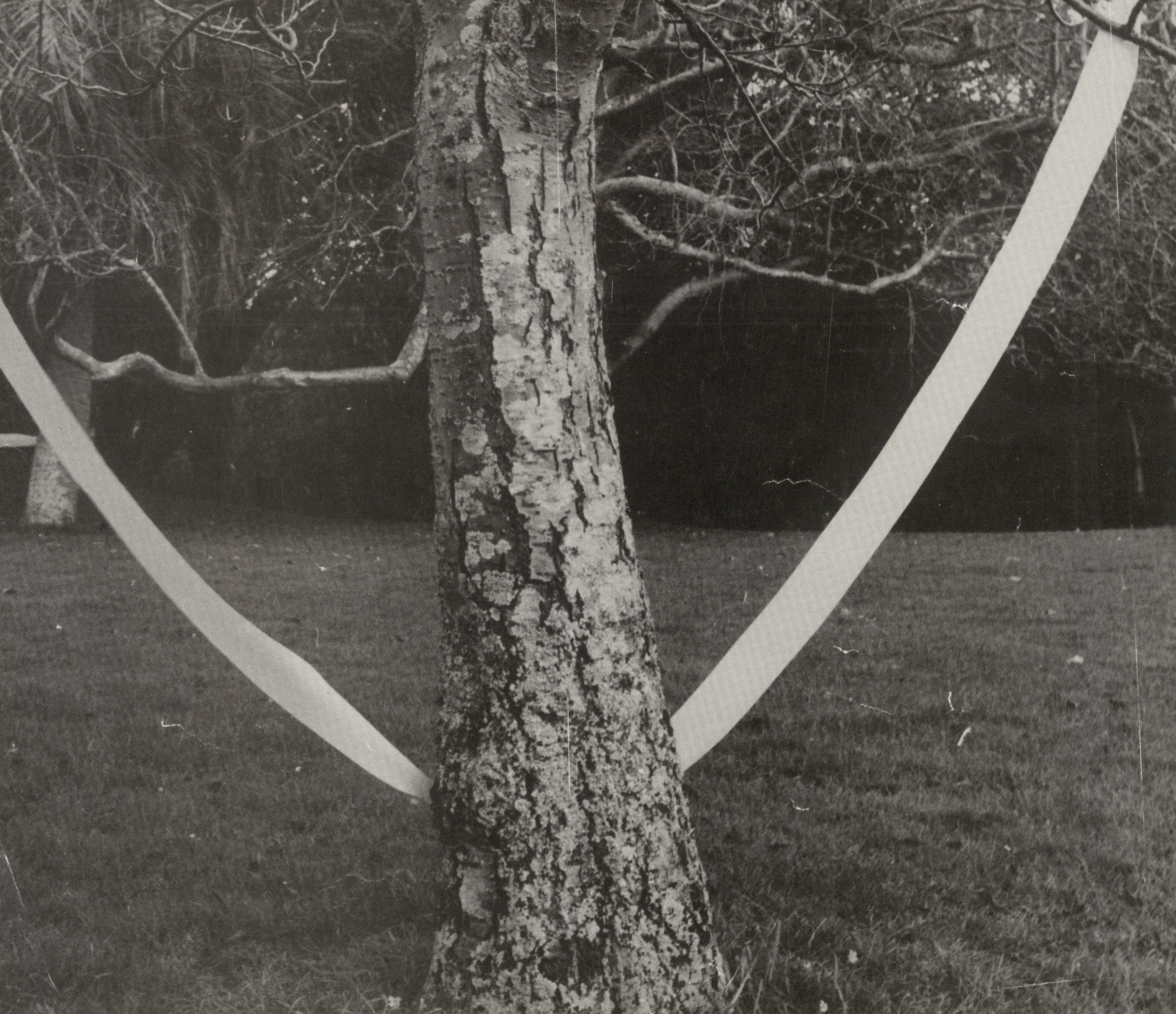 Black and white photograph of a white shape tied hanging behind a tree, as if to form artificial branches. Black and white photograph of a white shape tied hanging behind a tree, as if to form artificial branches.